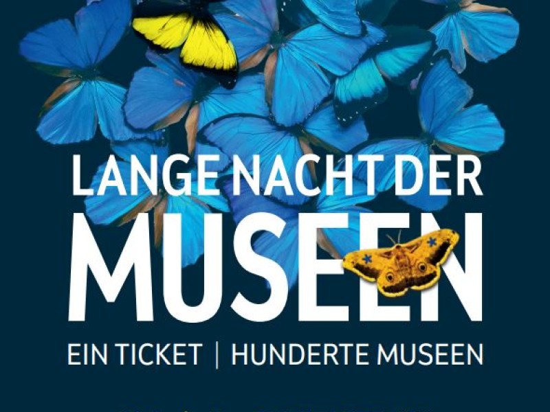 Plakat für die Lange Nacht der Museen mit blauen Schmetterlingen und einem gelben Schmetterling in der Mitte. Text: 'LANGE NACHT DER MUSEEN EIN TICKET | HUNDERTE MUSEEN SA | 4. OKT 25'.